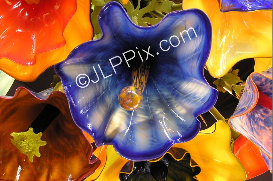 ChihulyFlowers